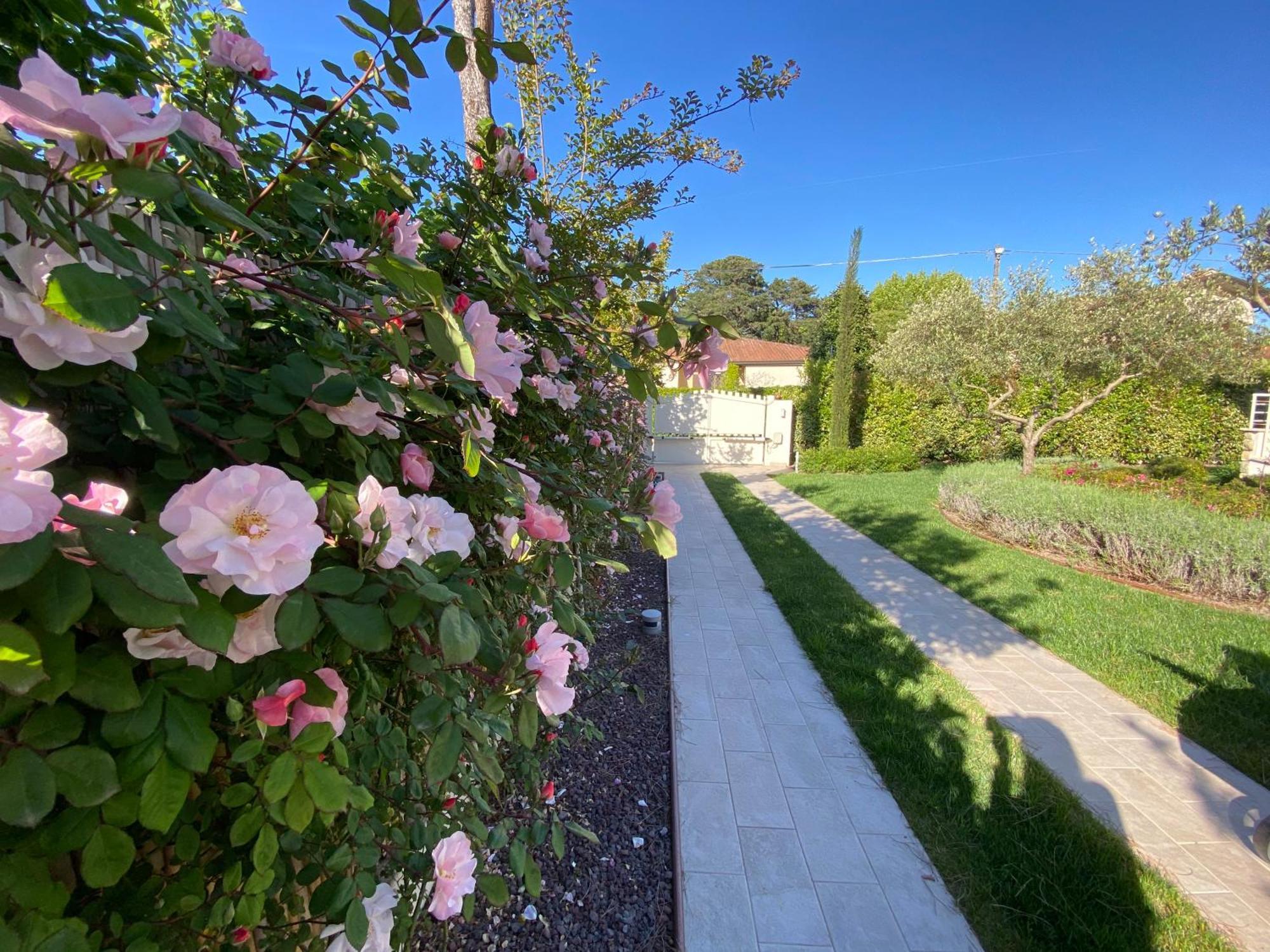 Bellaisa Bed & Breakfast Camaiore Exteriér fotografie